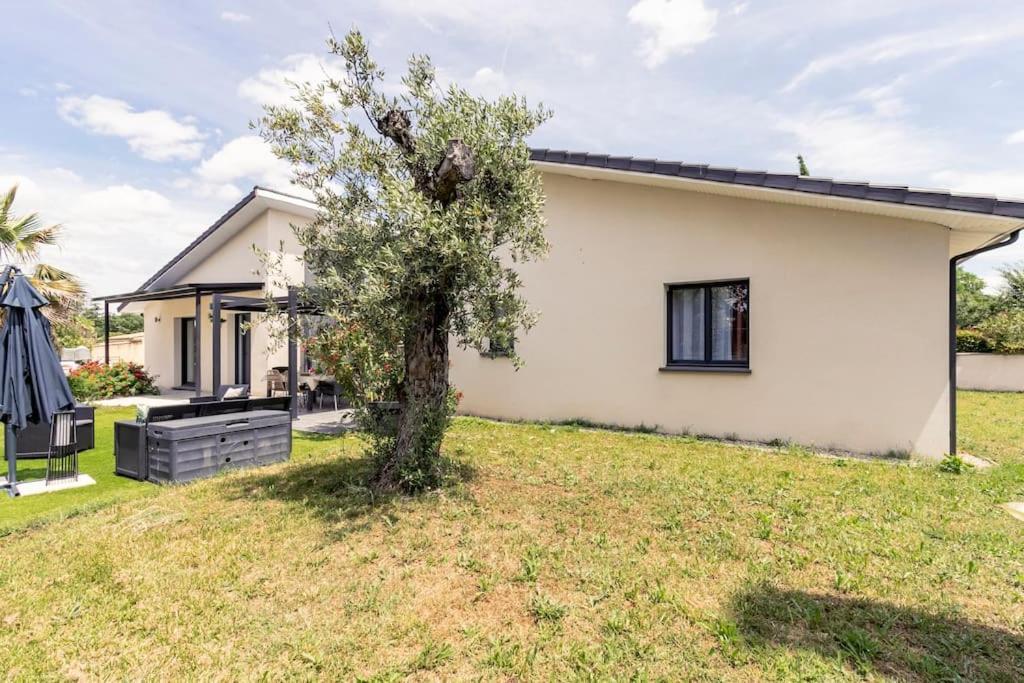 Villa Des Rives Du Tarn Avec Jacuzzi Montans Exterior foto